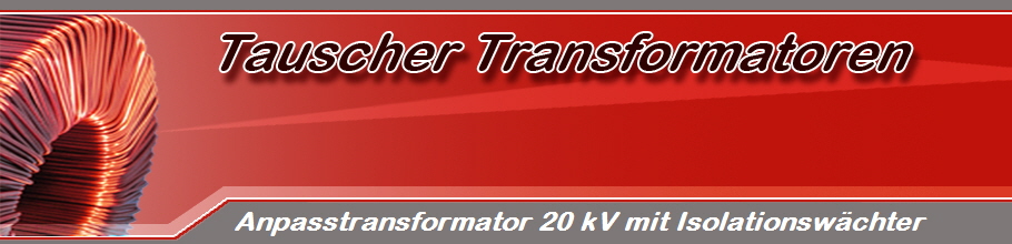 Anpasstransformator 20 kV mit Isolationswchter